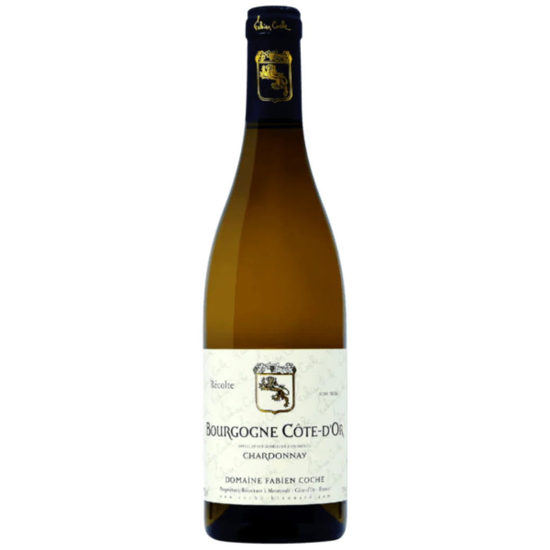 2019 Domaine Fabien Coche Bourgogne Cote-d'Or Blanc